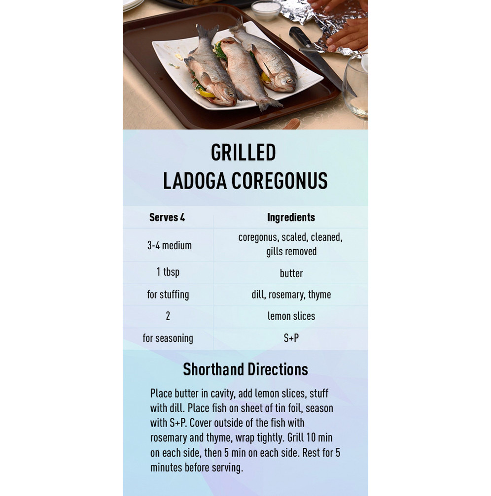 Grilled Ladoga Coregonus recipe