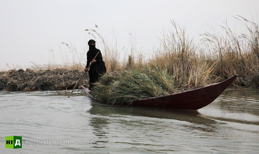 Mesopotamian marshland Iraq's Water Crisis