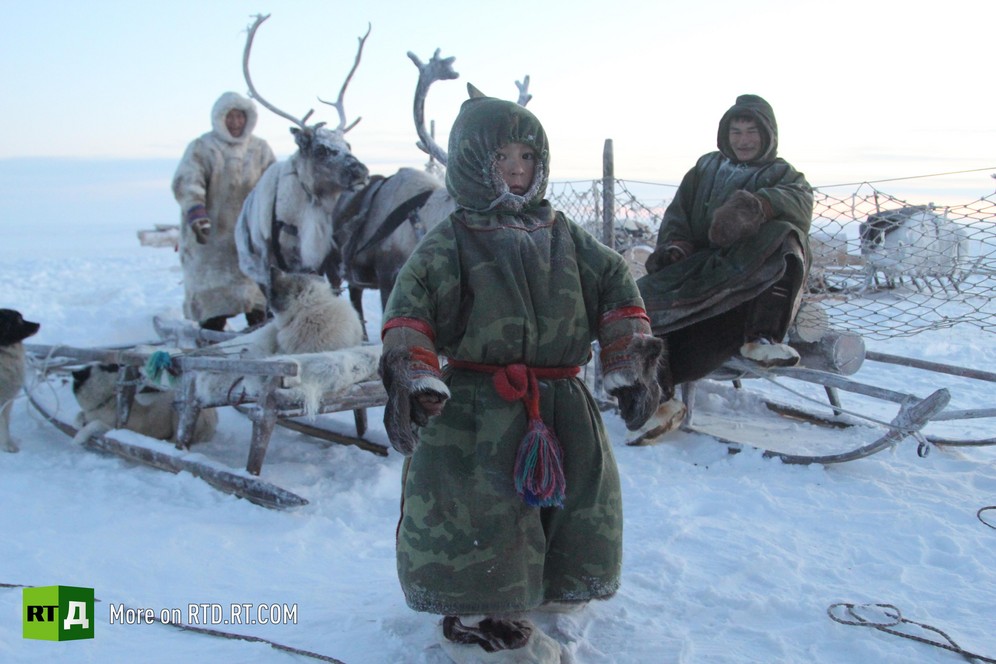 The Nenets reindeer herders