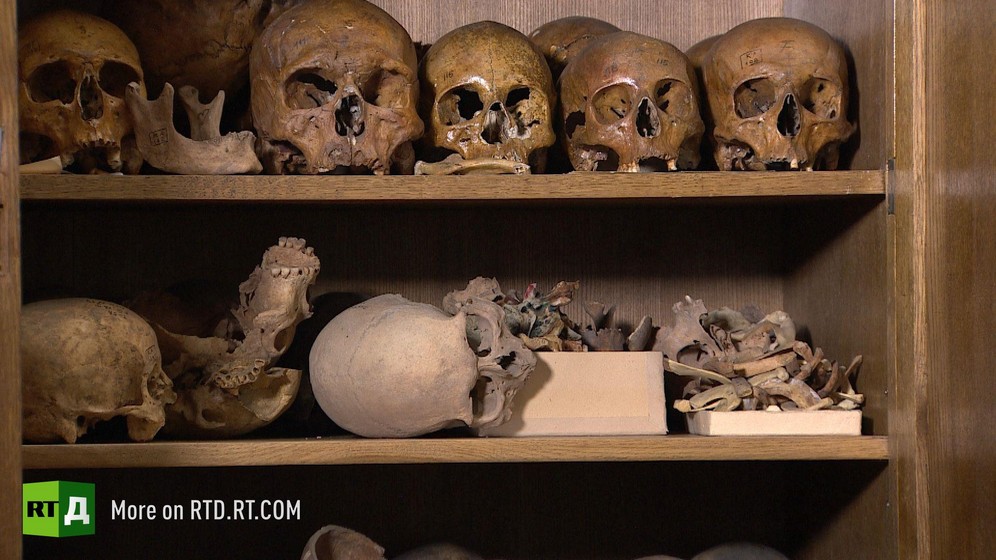 Shelf full of prehistoric skulls, Moscow State University Anthropology Department