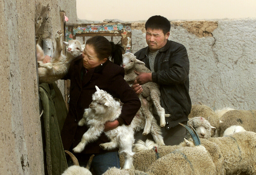 China Mongolia bubonic plague