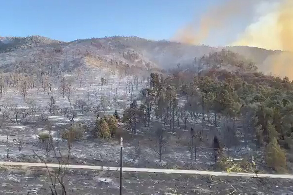 us wildfires burnt woods