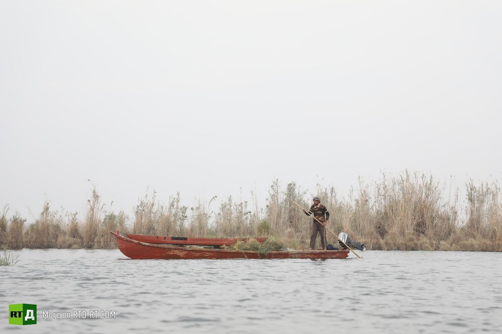 The Mesopotamian Marshes are sometimes called Iraq's 