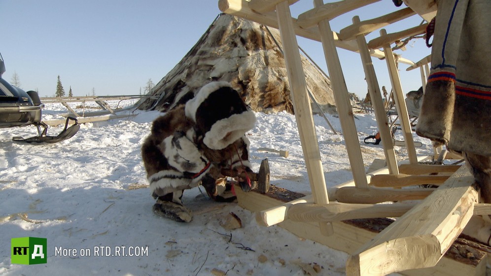 Nenets indigenous people