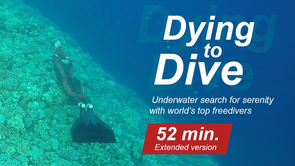 Dying To Dive: Searching for Serenity Underwater with World's Top ...