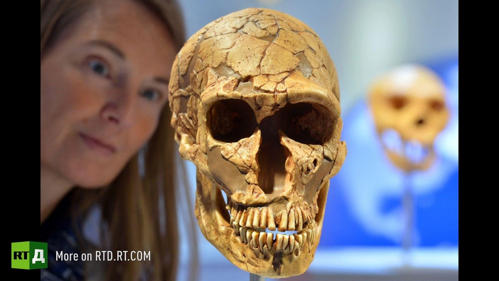 Prehistoric skull in a glass cabinet with face of woman looking at it, Moscow State University anthropology department.