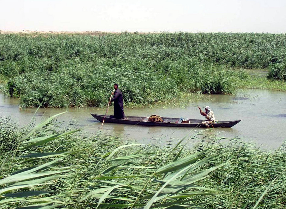 Turkey’s Ilisu Dam will impact the Marsh Arabs who live in the marshlands of Iraq, which has been declared a UNESCO World Heritage site. The dam will reduce the flow of the Tigris to the area, threatening their livelihood. © Hassan Janali, U.S. Army Corps of Engineers