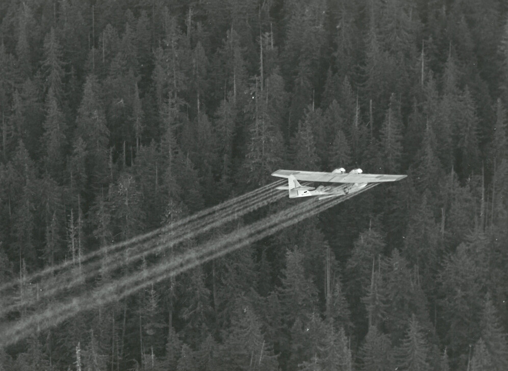 Amphibious PBY is spraying DDT, 1963 