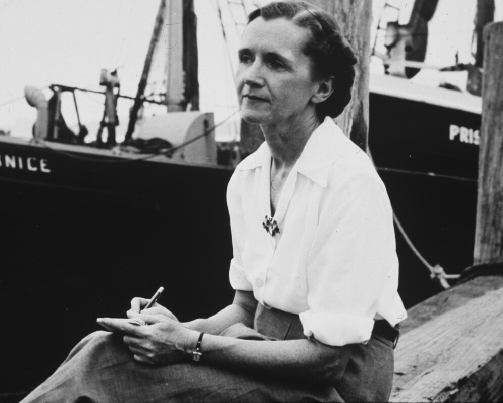 Rachel Louise Carson, an American marine biologist, author