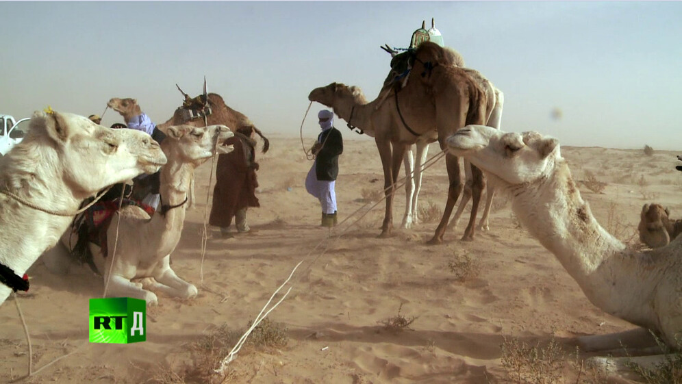 Documentaries about Sahara
